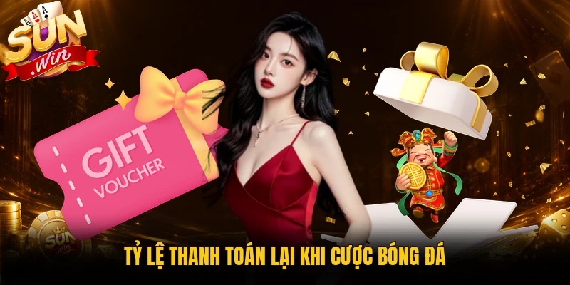 Kiểm tra phạm vi hoạt động được áp dụng hoàn trả