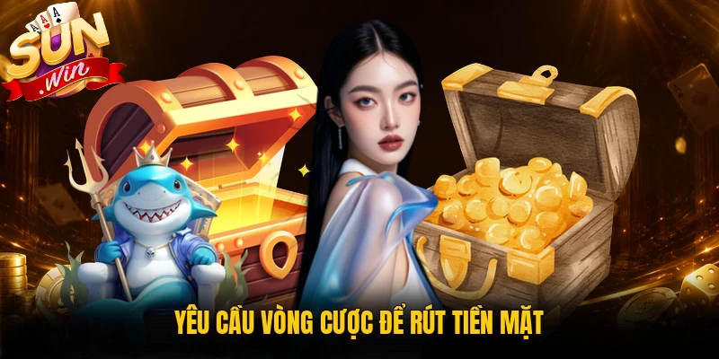 Lưu ý điều kiện khi nhập mã ưu đãi Sunwin