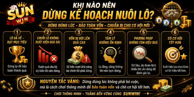Khi nào nên dừng kế hoạch nuôi lô?